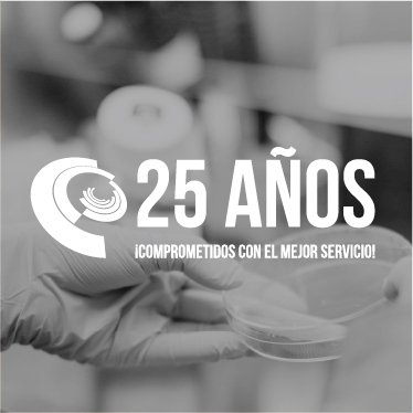 25 experiencia
